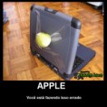 /album/galeria-de-fotos-imagens/apple-jpg/