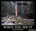 /album/galeria-de-fotos-mindfuck/the-forest-50594-jpg/