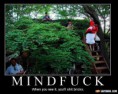 /album/galeria-de-fotos-mindfuck/the-bush-36587-jpg1/