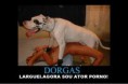 /album/galeria-de-fotos-imagens/dorgas-jpg/